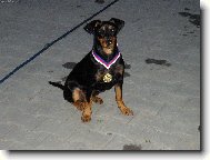 No řekněte nejsem nádherná.......