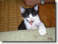 Já že šilhám????????