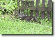 Vojtíšek-hlava rodiny