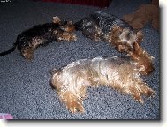 Takhle krásně se umíme seřadit