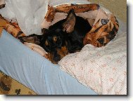 Spím zásadně pod peřinkou...