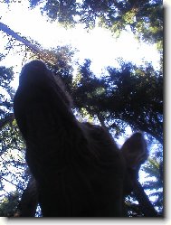 V lese je krásně!!