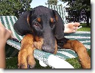 Náš miláček Corinka