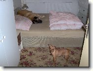 Větší má přednost