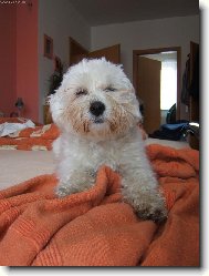 Mě se vůbec nechce spinkat .... chrpšííííííí