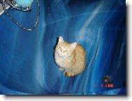 chci se vykoupat prosím........