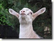 Hm hm, jak se tak dívám, dnes pršet nebude