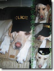 Megie alá policajt..