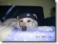 Tak jak mi sluší kšilt??:)