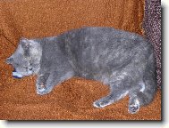 Tak, kde ten Táta je?