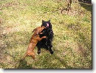 naše spokojený holky