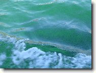 Jedna vlnka šplouchla