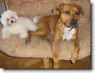 Argošek se svou kamarádkou Shereen