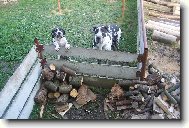 Dva žebráci pod oknem