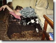 Nejlepší pelíšek