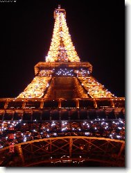 Osvětlená kráska.