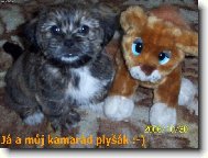 Ronny - 1,5 měsíce