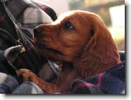 U Tebe je teplíčko......