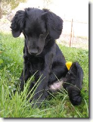 odpočinek v zahradě