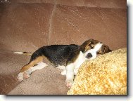 Odpolední odpočinek