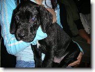 Já chci zpátky k mámě!