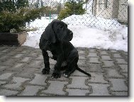 Tady teď budu bydlet?