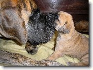 U mámy je nejlíp:o)