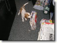 To je ale těžký..