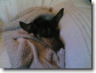 ..už se nechci koupat...