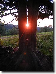 Dvojčata z Orlických hor