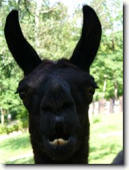 Co so o mě říkala?!