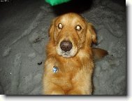 Tak už mi to dej.....prosííím