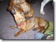 Tábor 06 Suchá Rudná