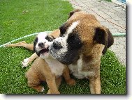 Čistil sis dneska zoubky?