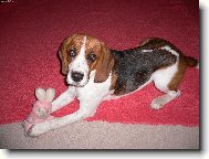 Můj nejlepší kamarád !!