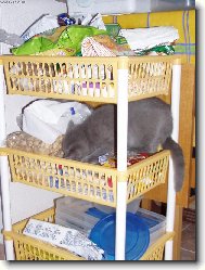 tady někde to prý všechno je...samá sladkost