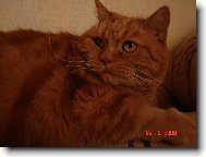 Vysavač je mím nepřítelem.