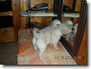 Co se vy dvě tam na nás tak koukáte?