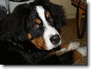 To mám, ale kukuč :)