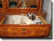 kde se mi nejvíce líbí