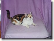 Jsem také výstavní kus