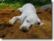 já usínám všude...žádný problém