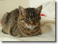 .....řekla jsem NEFOTIT !!!!