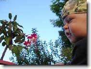 Voní ..... nevoní?