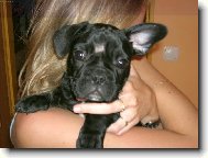 Už mi stouplo jedno ucho, héč.