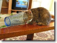 Z moji misticky mi voda nechutna...