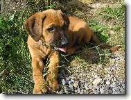 To mám hezký jazýček!!!