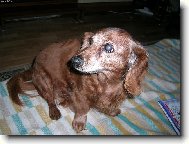 Jsem prostě andilek