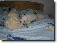 plyšový kamarád taky kamarád