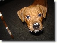 Mňami to bylo dobré!!